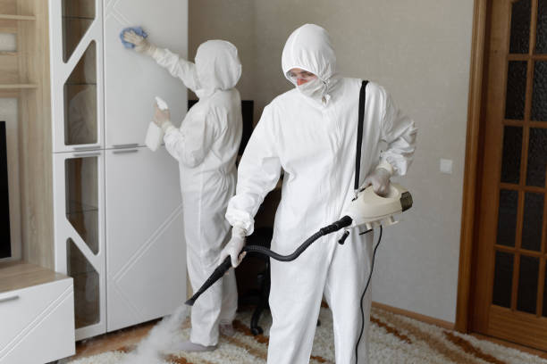 Best Commercial Mold Inspection  in Baird, TX